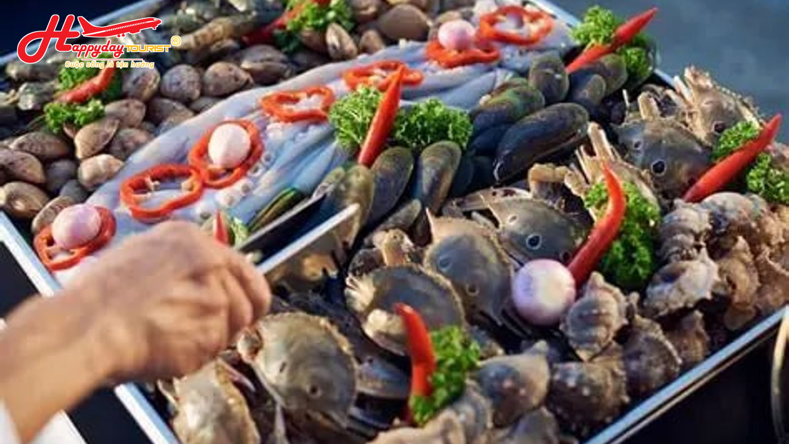 Khách du lịch đang dùng kẹp chọn hải sản tươi sống trực tiếp từ khay tại nhà hàng biển An Bàng