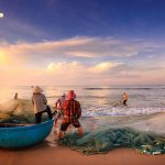 Ngư dân kéo lưới đánh bắt hải sản tươi trên bãi biển