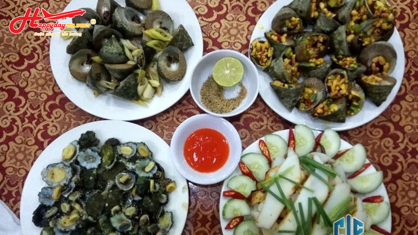 Đĩa ốc vú nàng luộc cùng các món hải sản thơm ngon trên bàn ăn tại Cù Lao Chàm