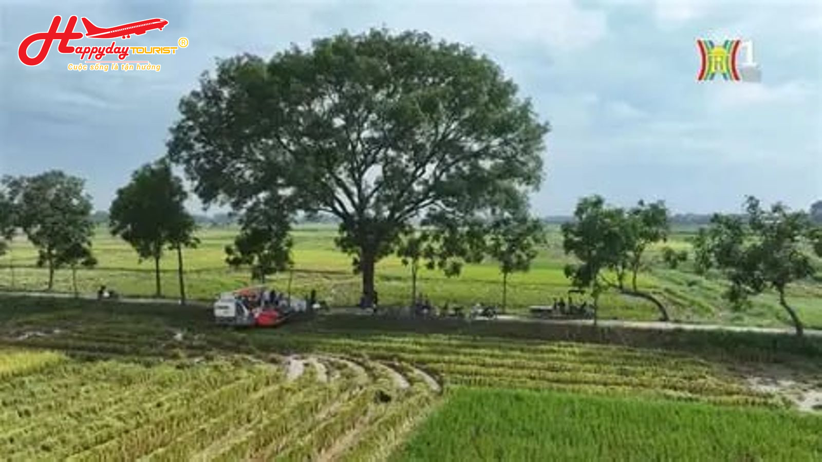 Tuyến đường nông thôn xanh mát rợp bóng cây xanh dẫn lên vùng núi Duy Xuyên